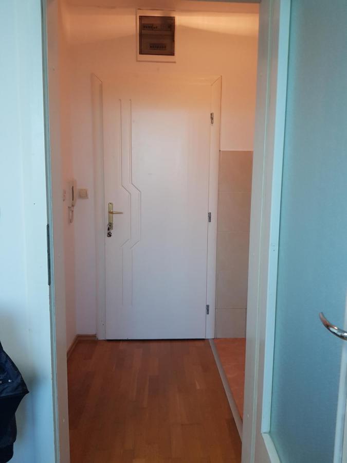 Central Apartment With 24-7 Building Security Нови Сад Екстериор снимка
